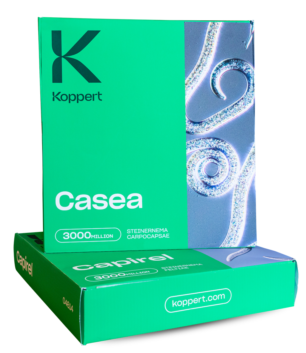 Koppert apresenta soluções à base de nemátodes benéficos para controlo biológico de pragas agrícolas